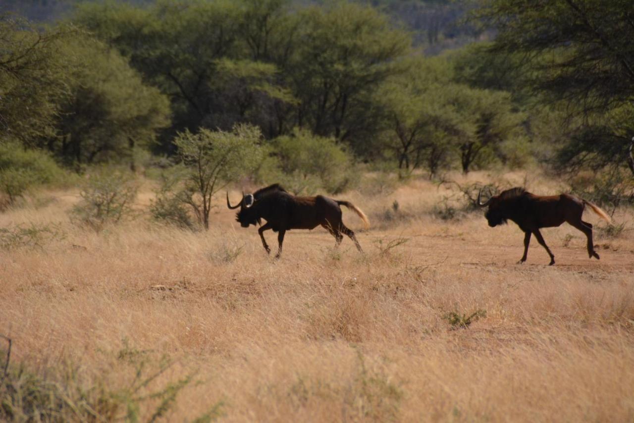 Gabus Game Ranch Otavi Exterior foto