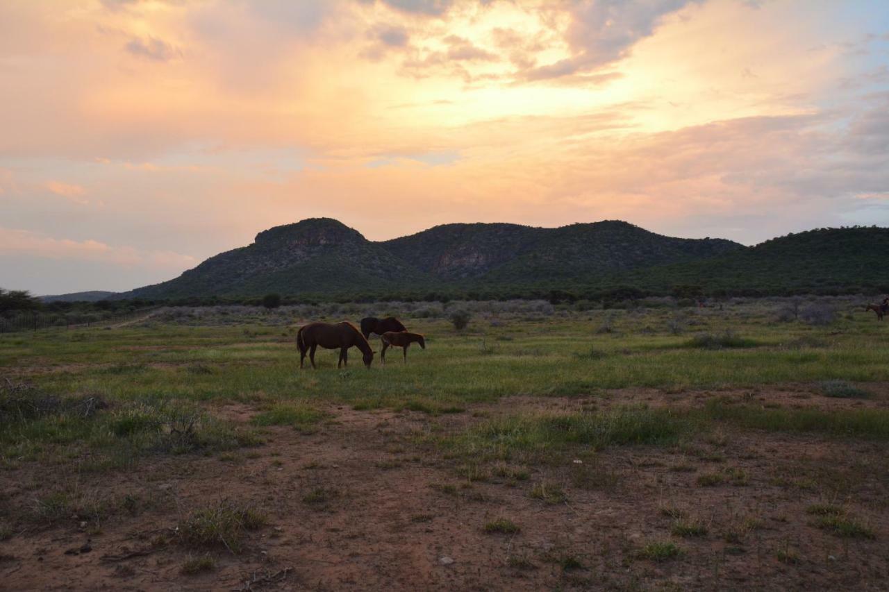 Gabus Game Ranch Otavi Exterior foto